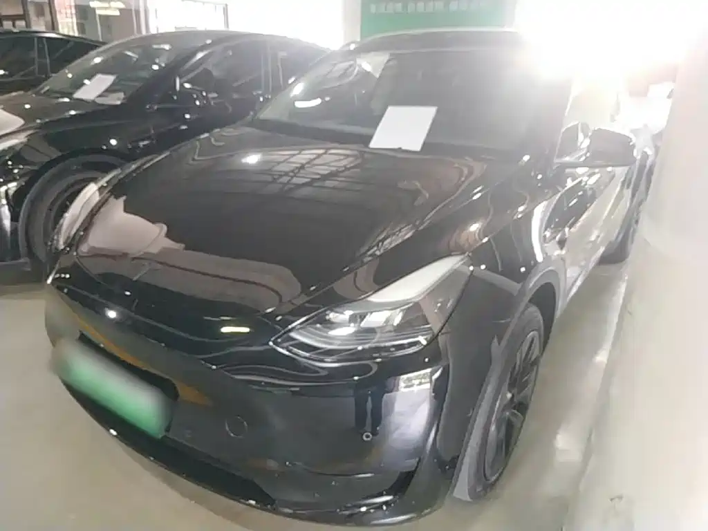 Tesla Model Y — фото 2