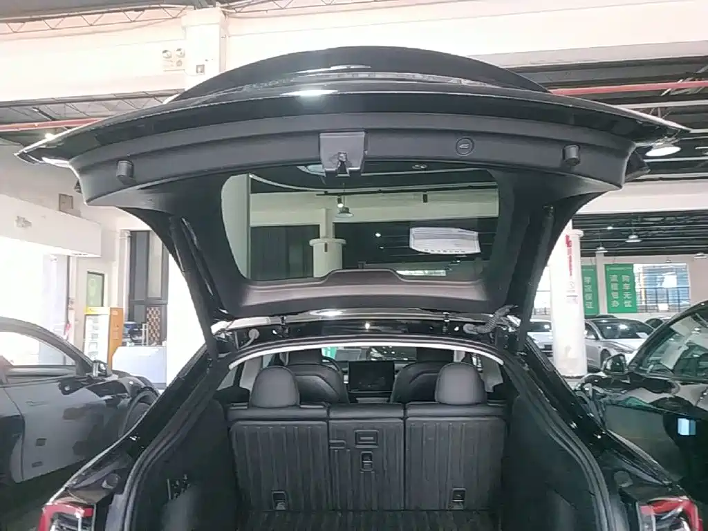 Tesla Model Y — фото 19