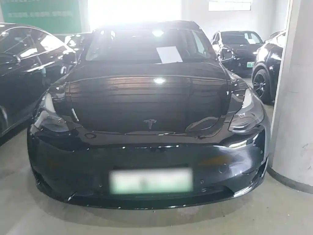 Tesla Model Y — фото 3
