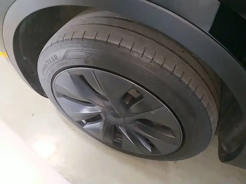 Tesla Model Y — фото 23