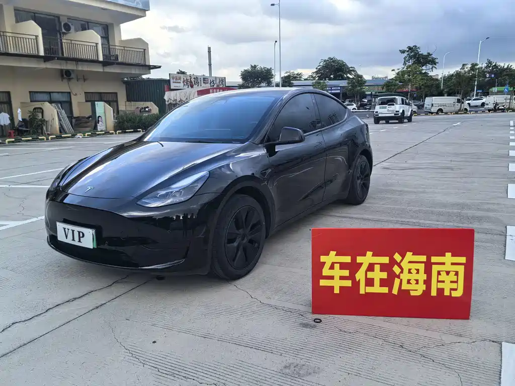 Tesla Model Y — фото 2
