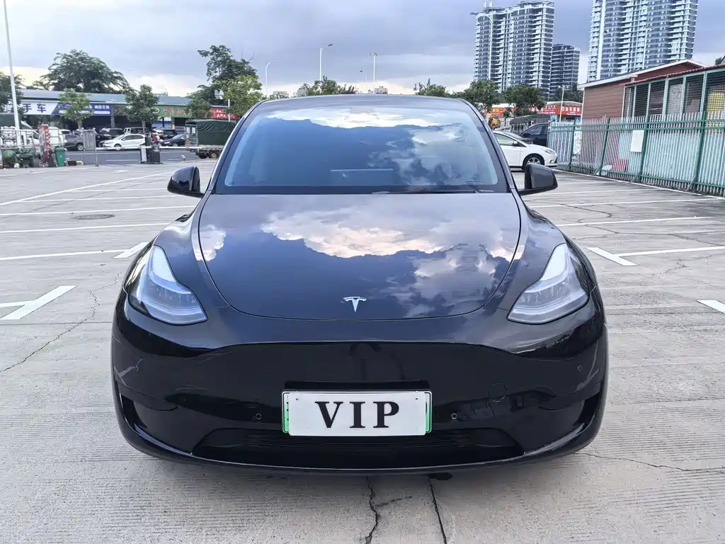 Tesla Model Y — фото 3