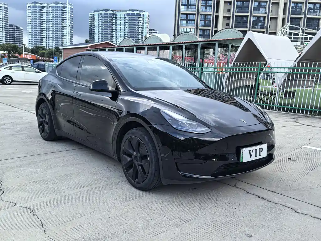Tesla Model Y — фото 4