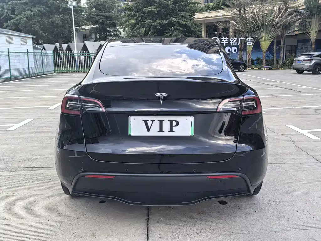Tesla Model Y — фото 6