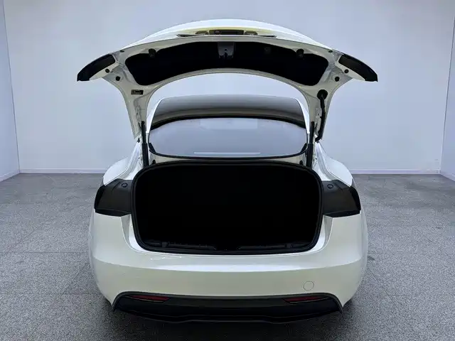 Tesla Model 3 — фото 15
