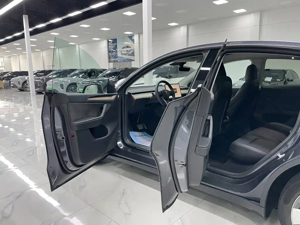 Tesla Model Y — фото 10