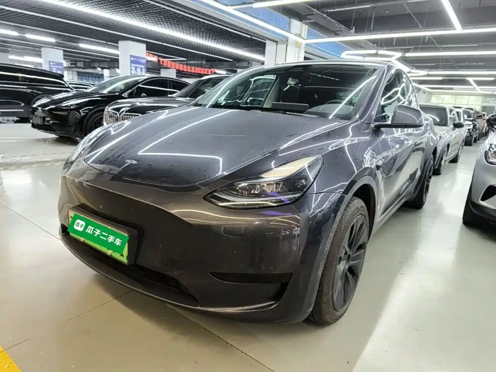 Tesla Model Y — фото 2