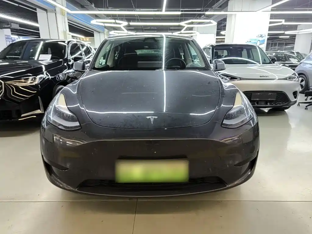 Tesla Model Y — фото 3