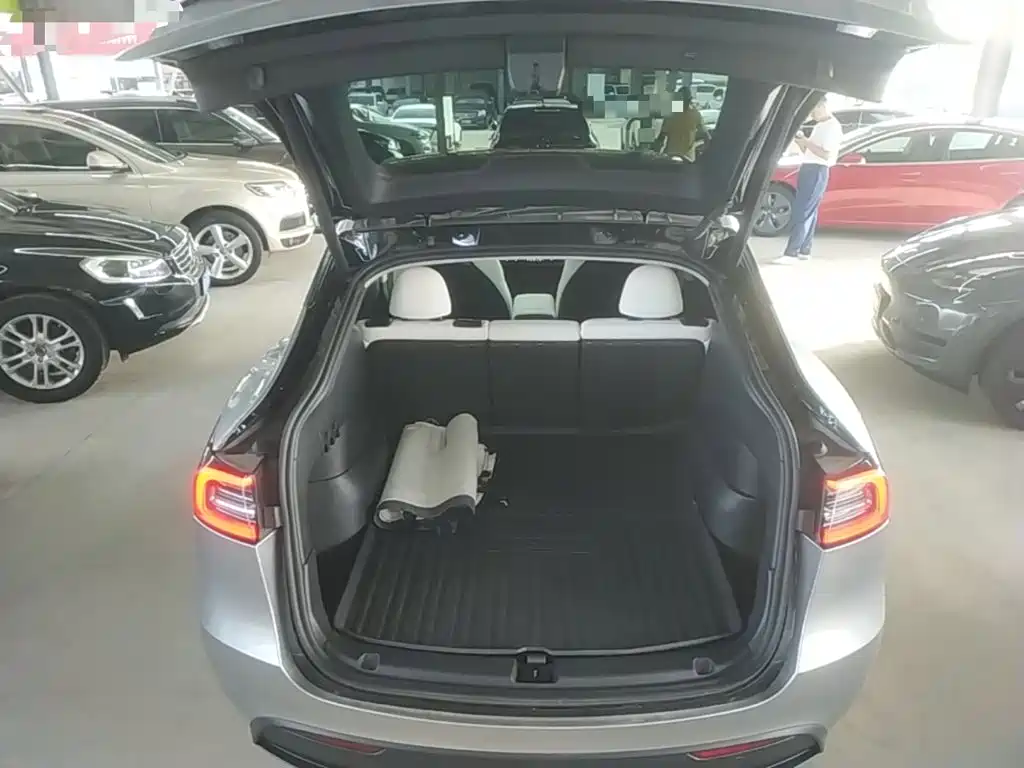 Tesla Model Y — фото 19