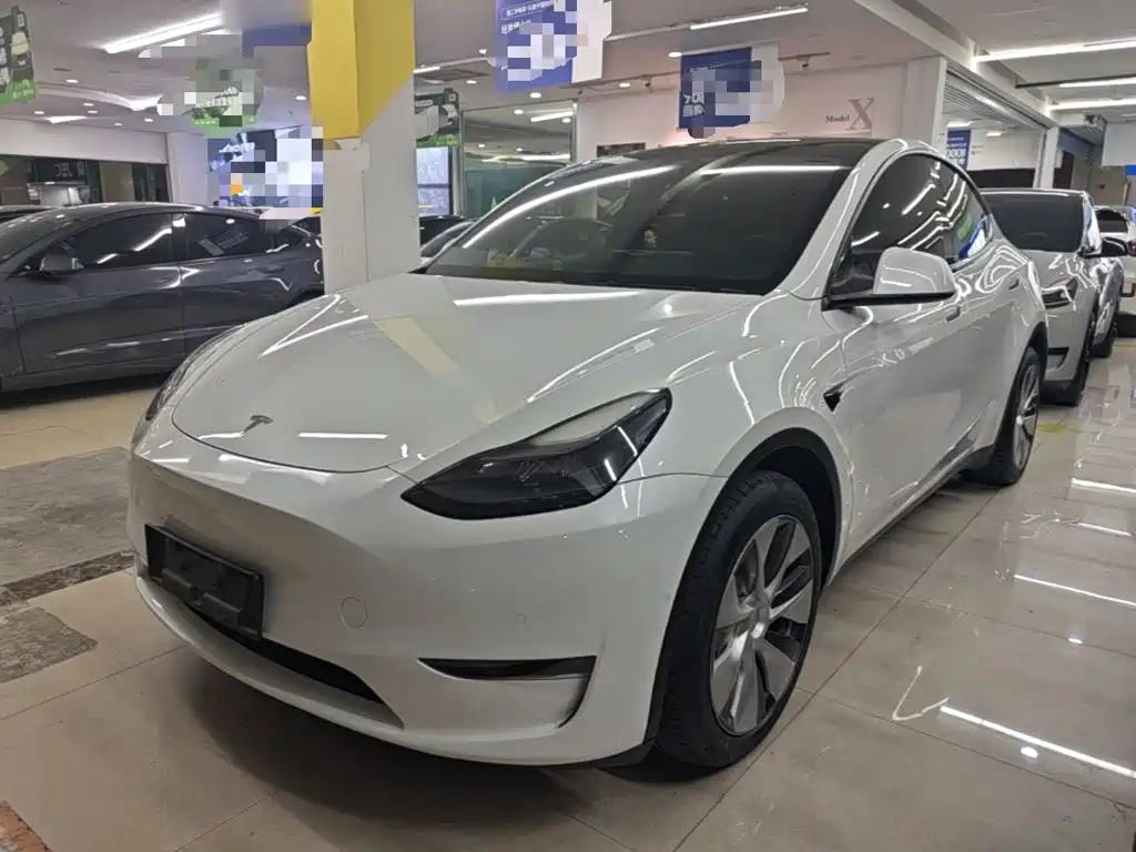 Tesla Model Y — фото 2