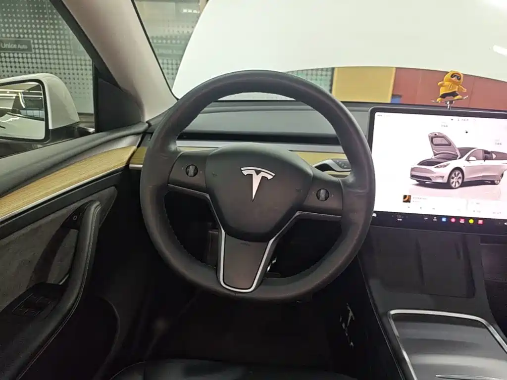 Tesla Model Y — фото 11