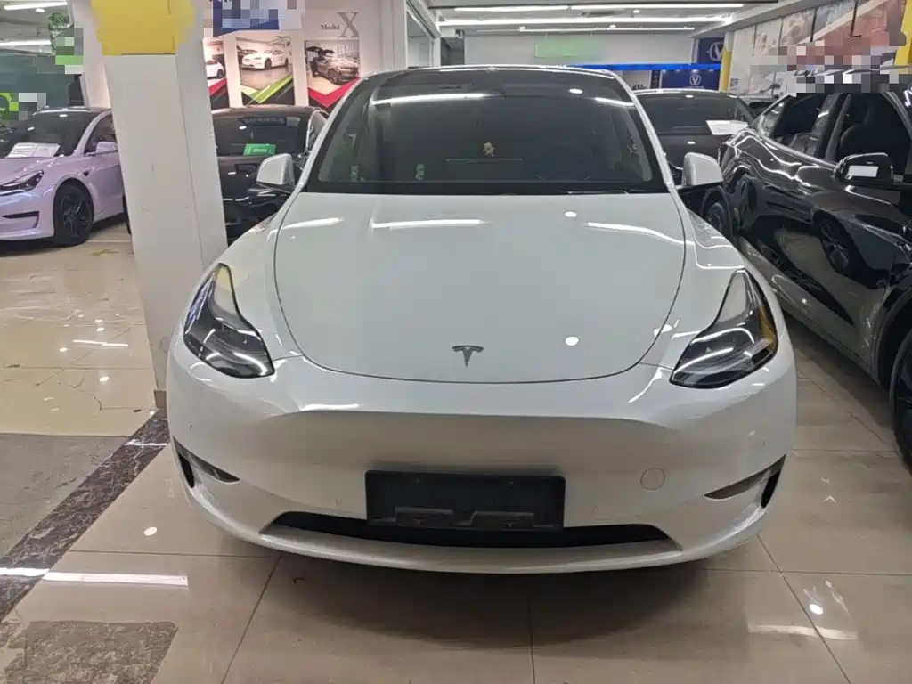 Tesla Model Y — фото 3