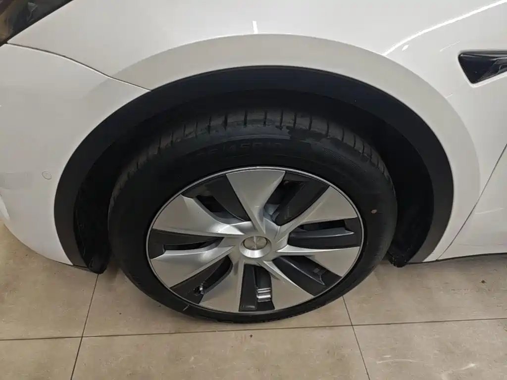 Tesla Model Y — фото 23