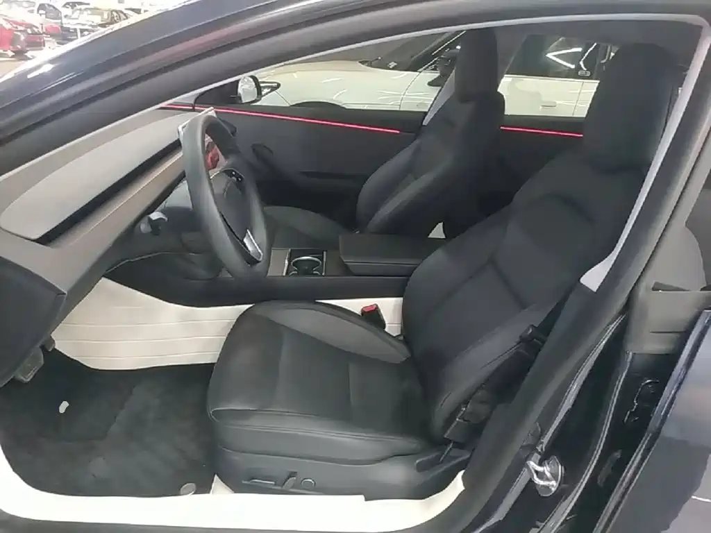 Tesla Model 3 — фото 15