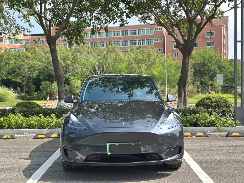 Tesla Model Y — фото 2