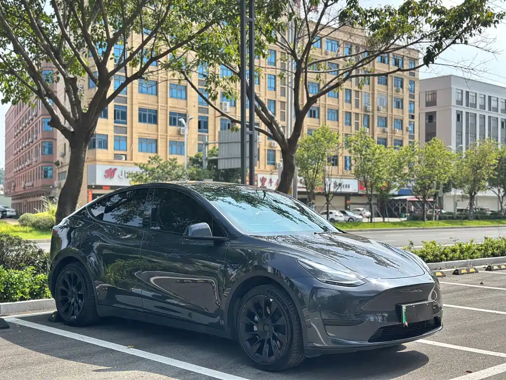 Tesla Model Y — фото 3