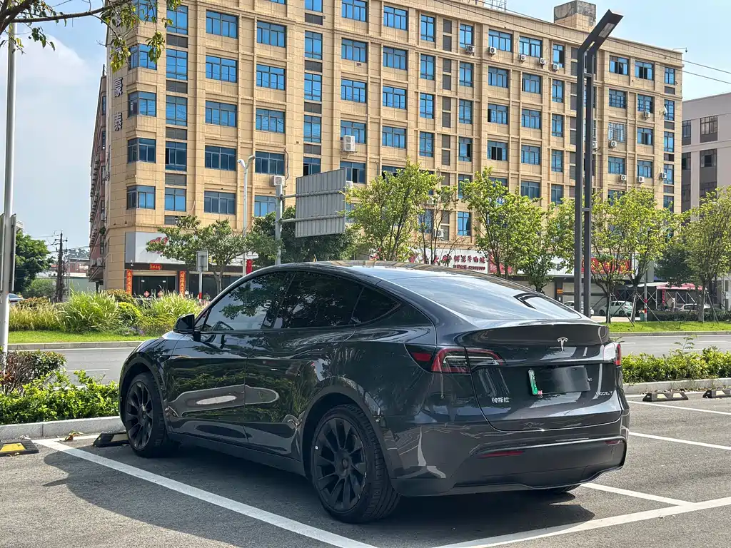 Tesla Model Y — фото 8
