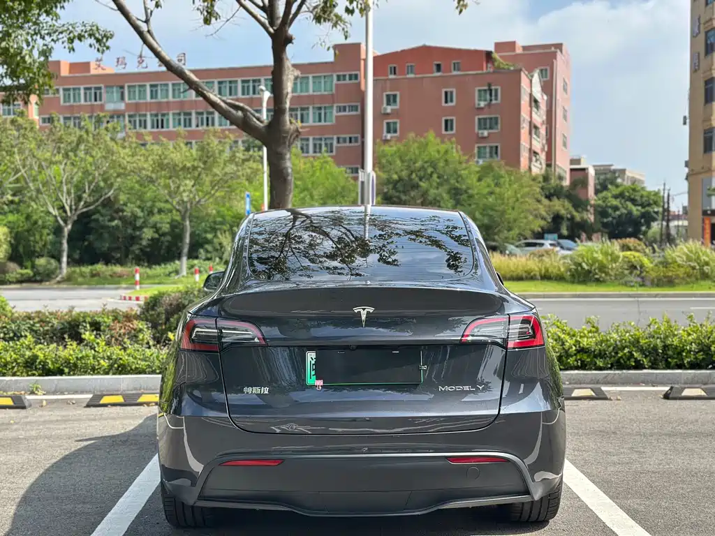 Tesla Model Y — фото 9