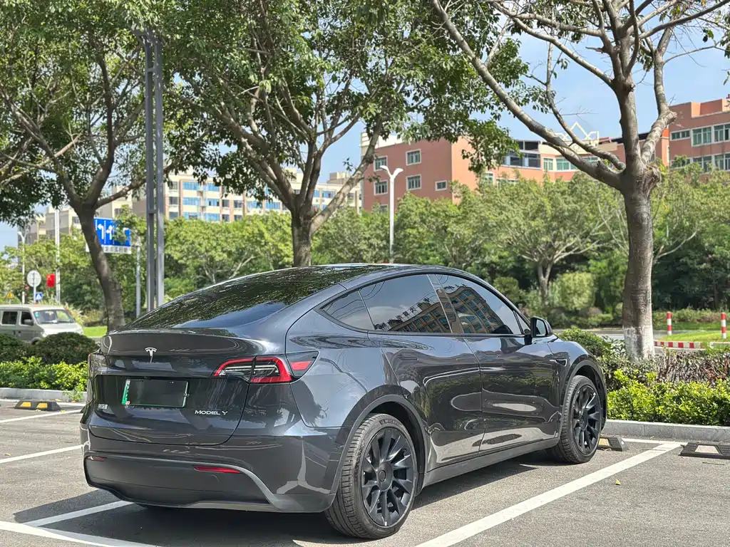 Tesla Model Y — фото 10
