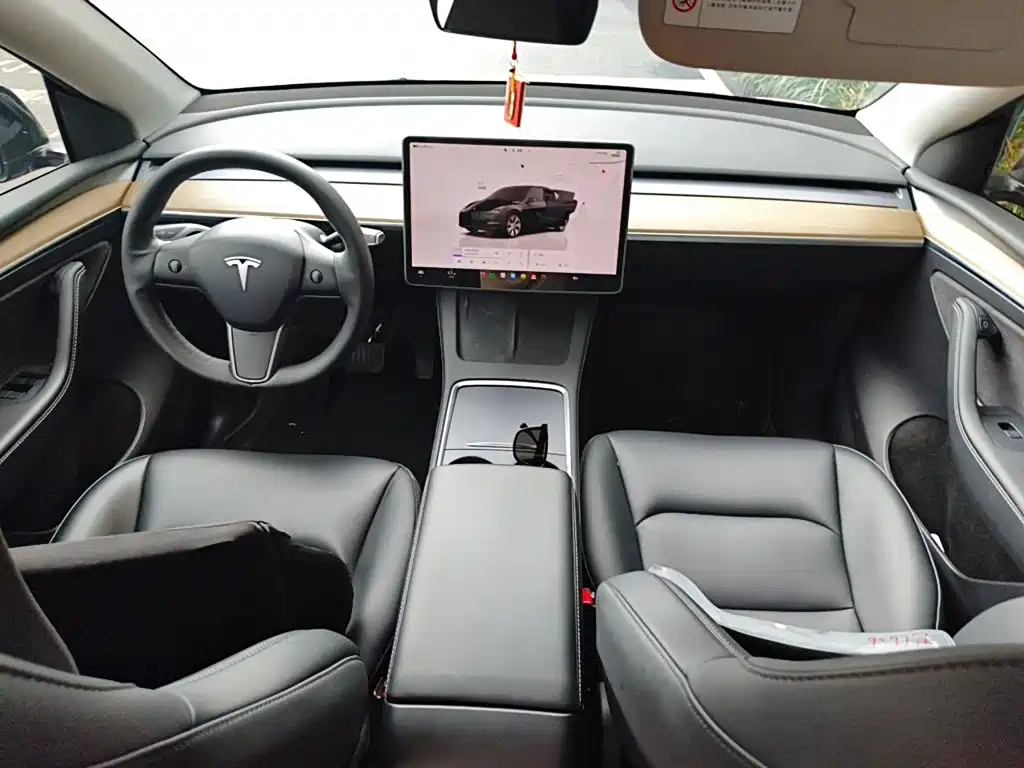 Tesla Model Y — фото 10