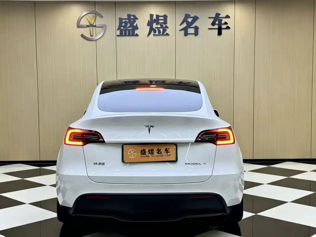 Tesla Model Y — фото 2