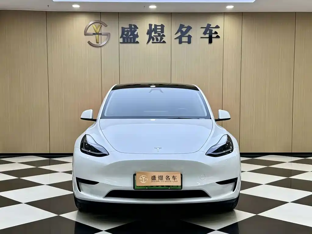 Tesla Model Y — фото 3