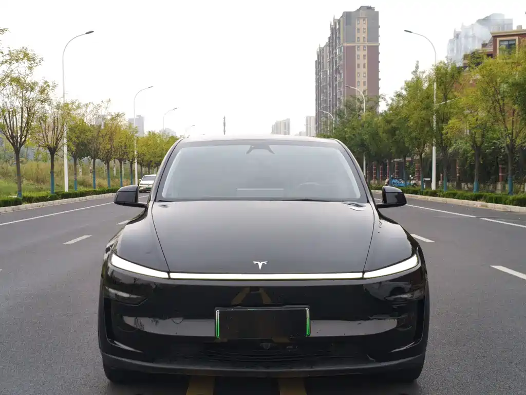 Tesla Model Y — фото 2