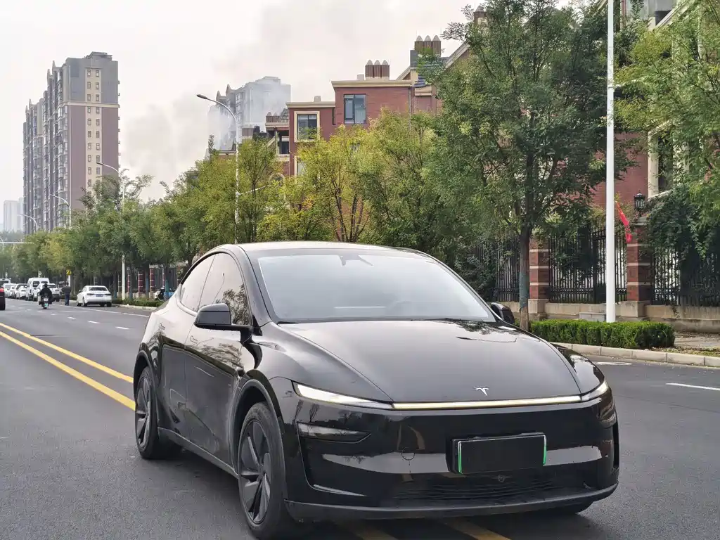 Tesla Model Y — фото 3