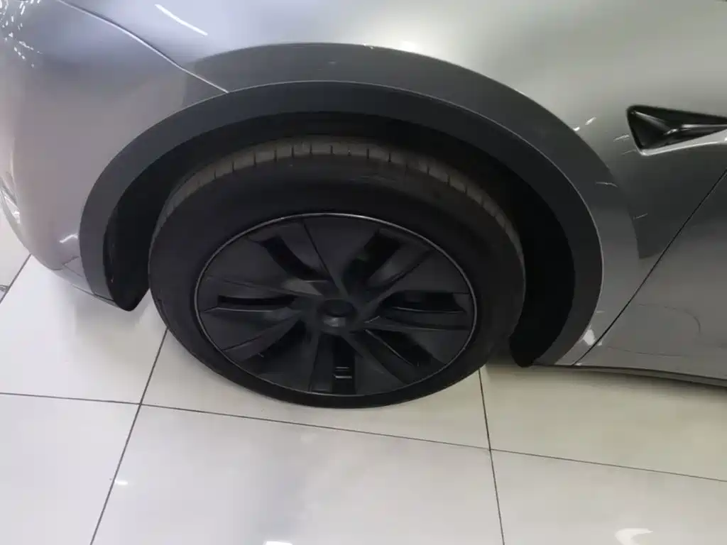 Tesla Model Y — фото 23