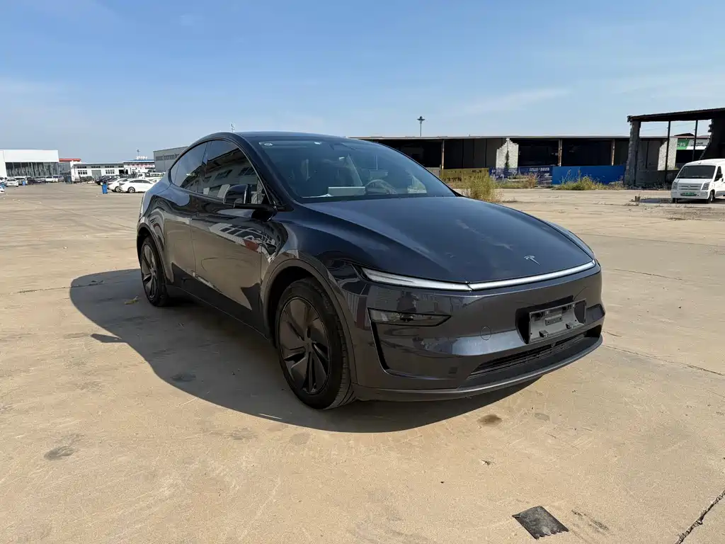 Tesla Model Y — фото 3