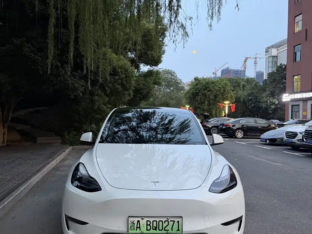 Tesla Model Y — фото 2