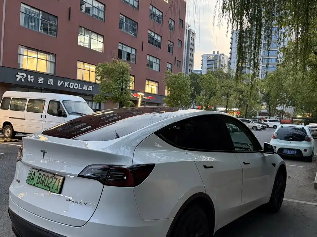 Tesla Model Y — фото 3