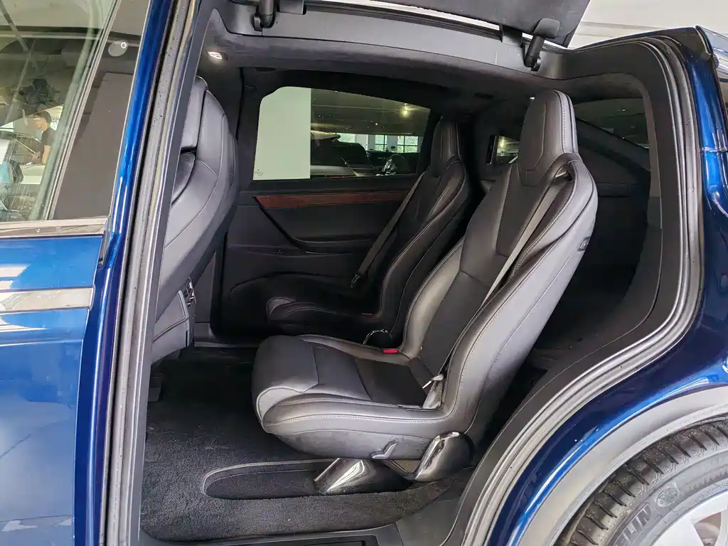 Tesla Model X — фото 8