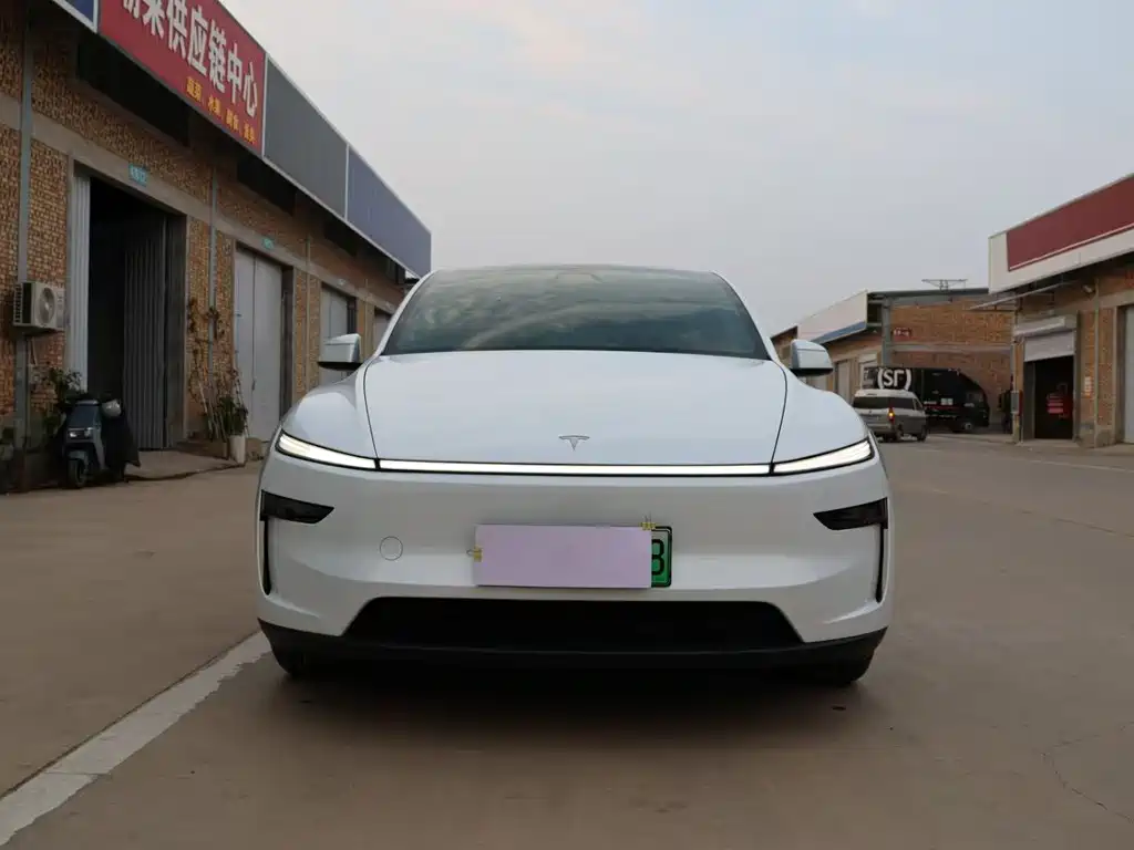 Tesla Model Y — фото 2