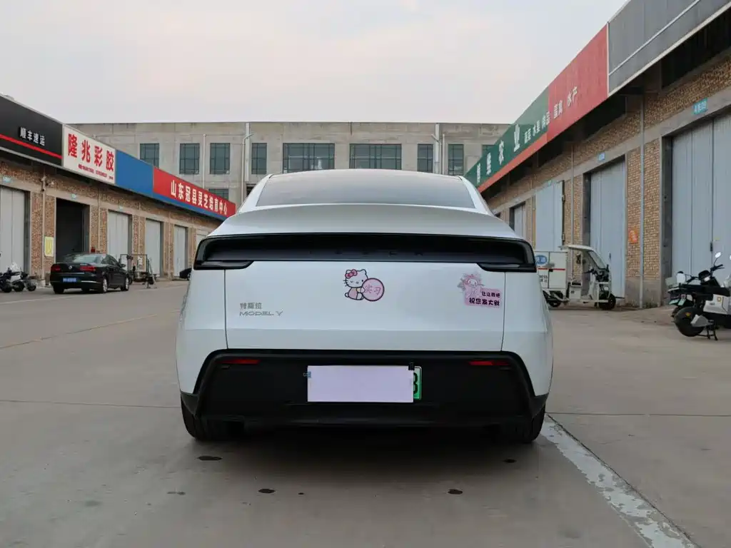 Tesla Model Y — фото 13