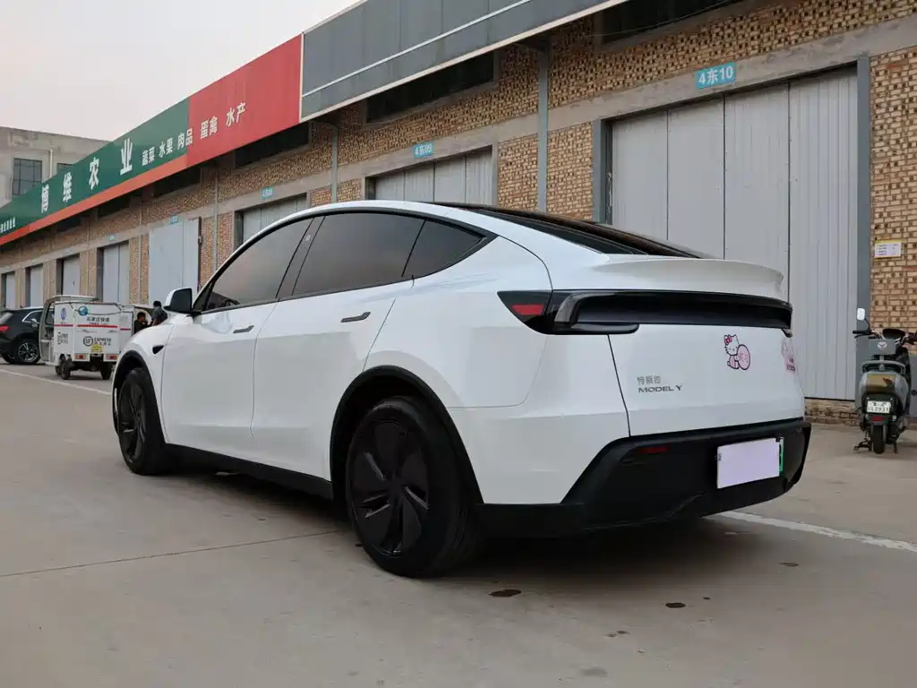 Tesla Model Y — фото 14