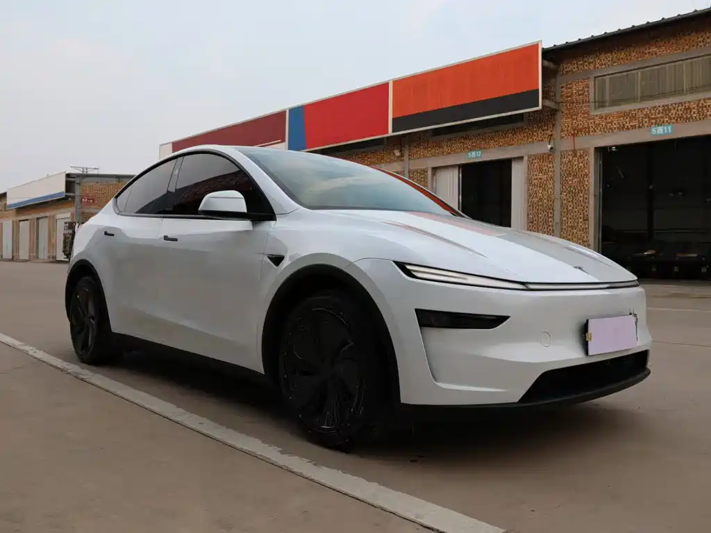 Tesla Model Y — фото 3
