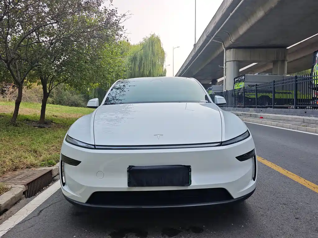 Tesla Model Y — фото 2