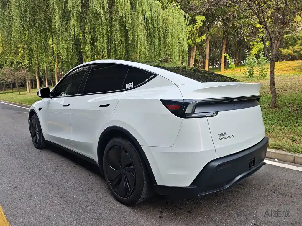 Tesla Model Y — фото 4