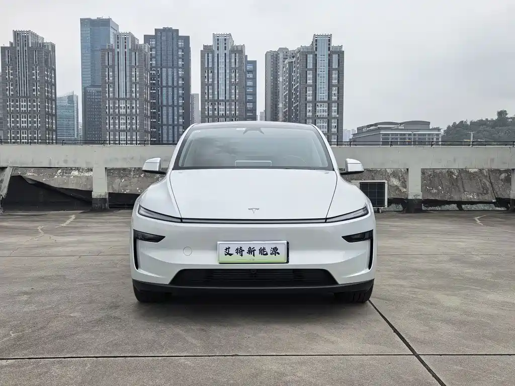 Tesla Model Y — фото 3