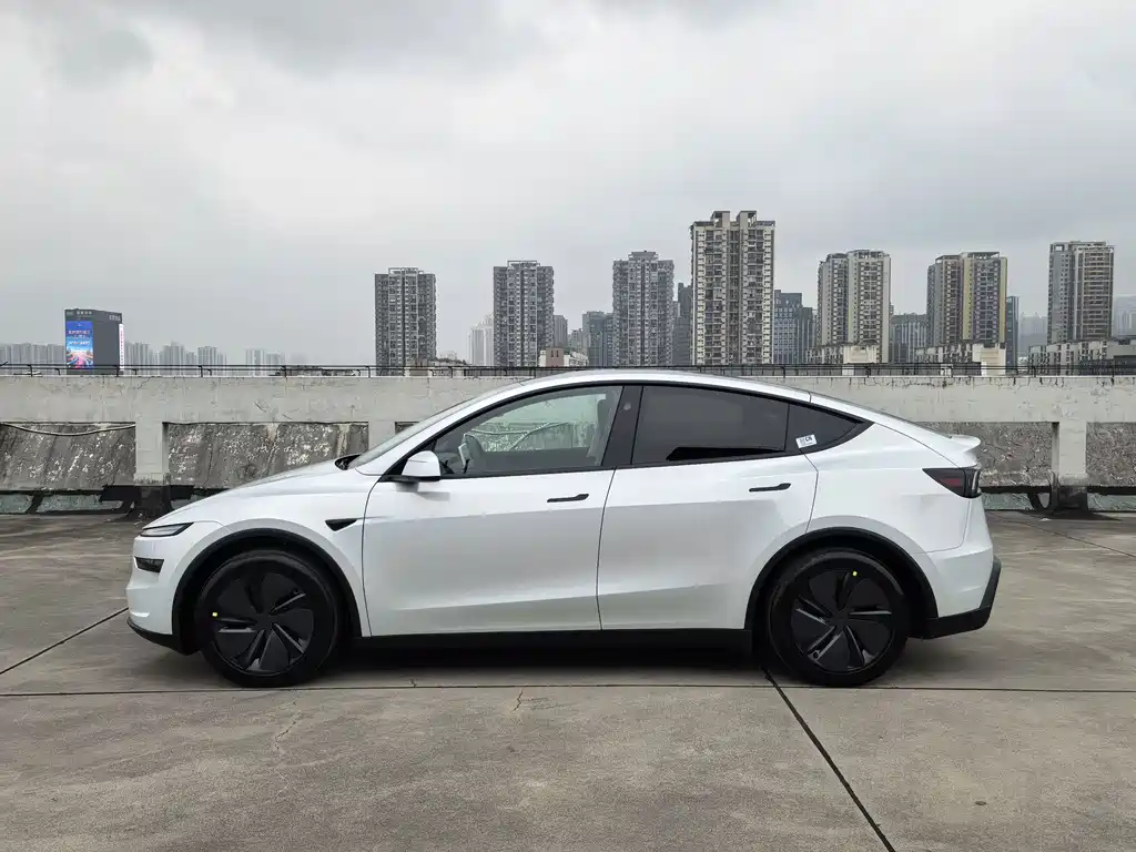 Tesla Model Y — фото 5