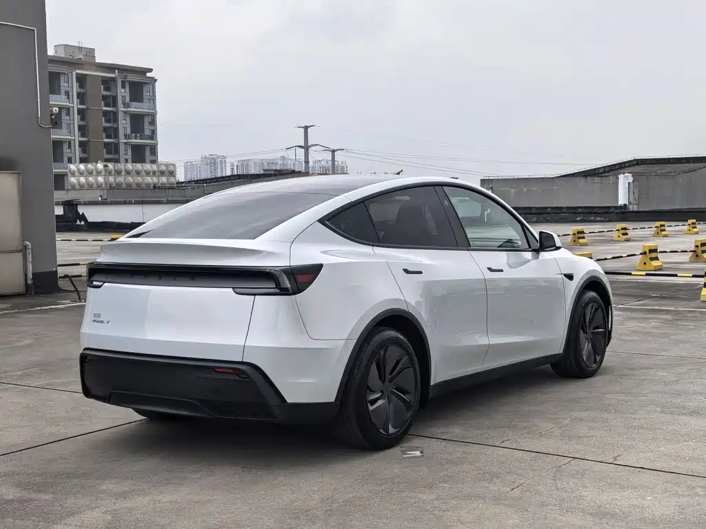 Tesla Model Y — фото 6