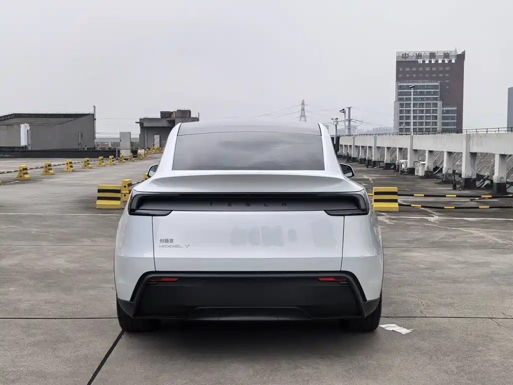 Tesla Model Y — фото 8