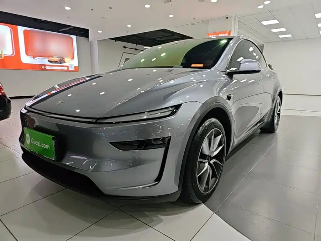 Tesla Model Y — фото 2