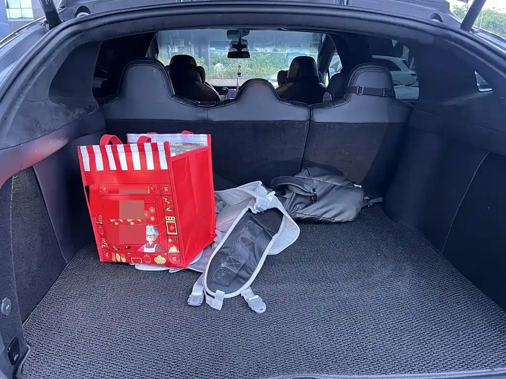 Tesla Model X — фото 11