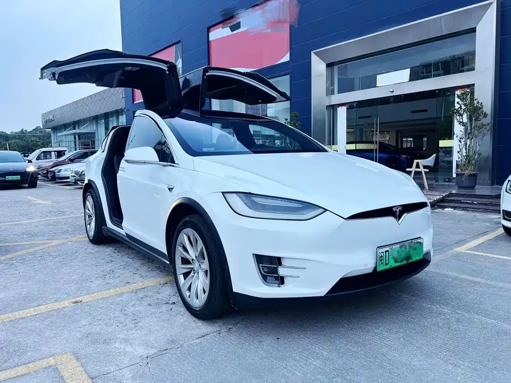Tesla Model X — фото 5