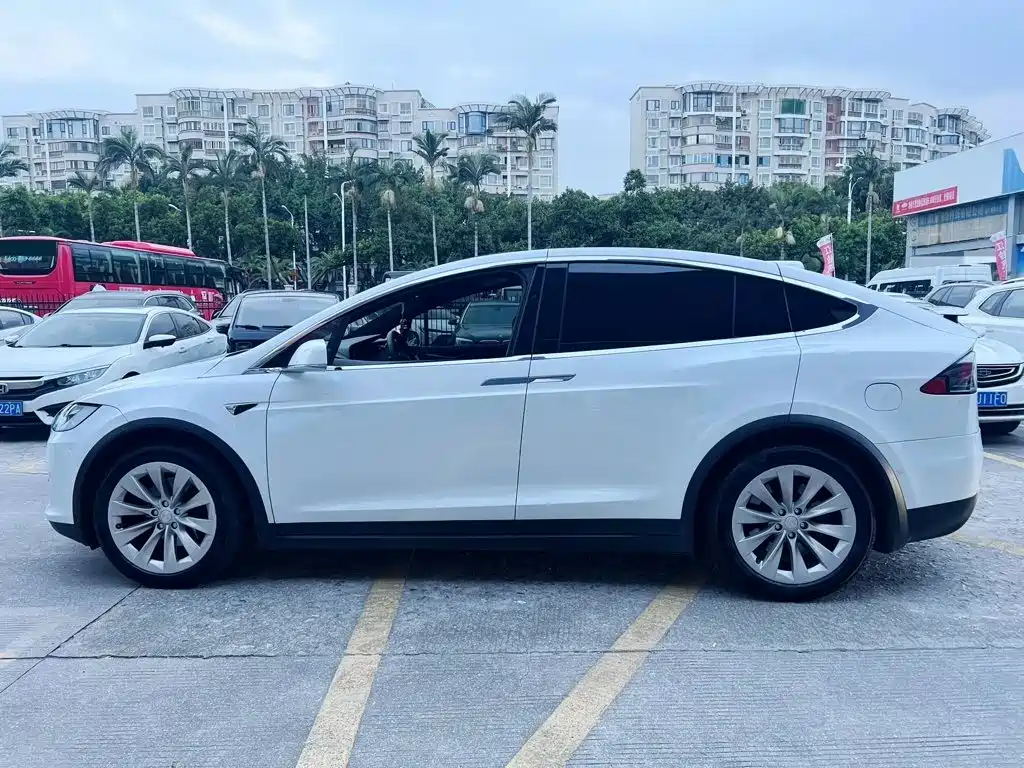 Tesla Model X — фото 6