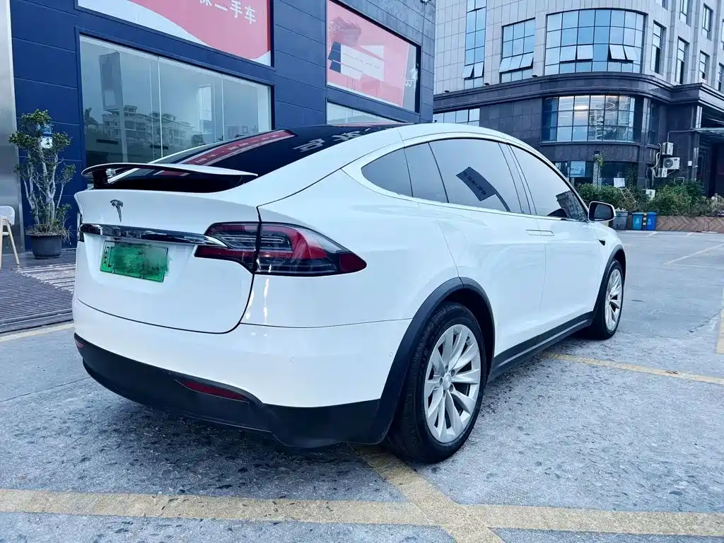 Tesla Model X — фото 8