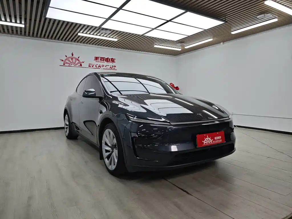Tesla Model Y — фото 2
