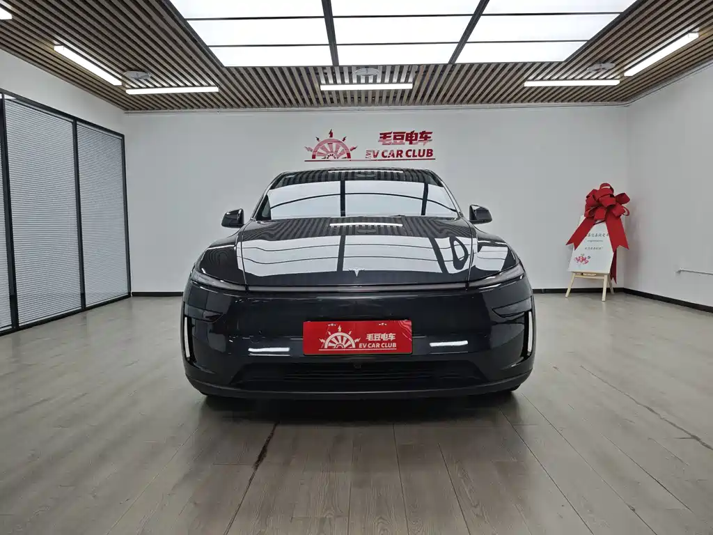 Tesla Model Y — фото 3